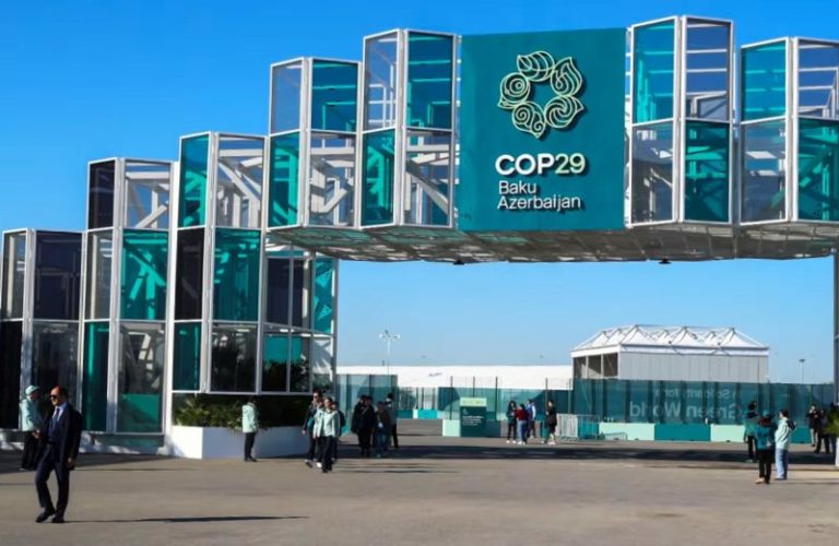 COP29: la agricultura familiar busca financiación para su adaptación y mitigación imagen-4