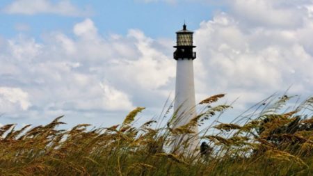 La cabeza que apareció en la costa sur de Florida pertenece a joven de 19 años desaparecido, según reporta la Policía imagen-15