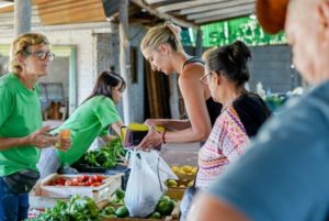 Ferias Francas: frutas y verduras hasta 63% más económicas que en supermercados imagen-2