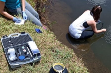 Detectan medusas de agua dulce en Misiones: un riesgo potencial para la salud humana imagen-15