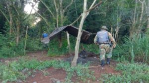 Guardaparques y policías desarticulan actividad de pesca furtiva en el Lago Urugua-í imagen-2