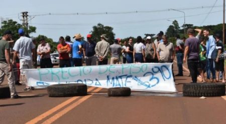 Protesta de Yerbateros en Ruta Nacional 14 por mejora en precios de hoja verde | OberaInside.com.ar La Noticia Junto a VosProtesta de Yerbateros en Ru... imagen-10