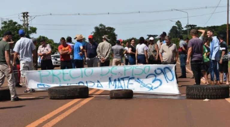 Protesta de Yerbateros en Ruta Nacional 14 por mejora en precios de hoja verde | OberaInside.com.ar La Noticia Junto a VosProtesta de Yerbateros en Ru... imagen-5