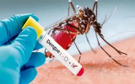 Dengue: el NEA acumula 106 casos confirmados y Misiones sigue sin registrar positivos imagen-10