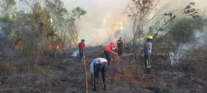 Bomberos intervinieron en dos incendios en Jardín América imagen-2