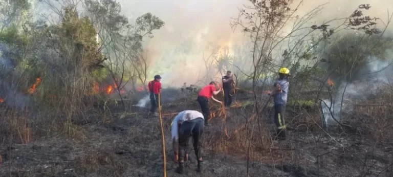 Bomberos intervinieron en dos incendios en Jardín América imagen-3