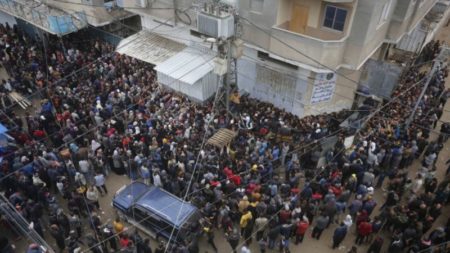 Una mujer y dos niños palestinos mueren aplastados fuera de una panadería en Gaza imagen-8