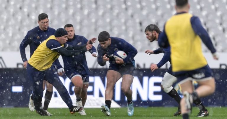 Los Pumas buscan el desquite ante Francia en el Stade de France: se enfrentan por tercera vez en el año y ambos llegan en su mejor versión imagen-4