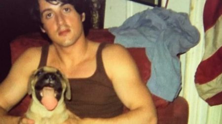 "Valía cada centavo": Sylvester Stallone vendió a su querido perro por 40 dólares porque no tenía dinero. Una semana después, pagó 15.000 para recuperarlo imagen-6