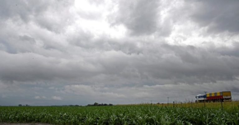 ¿Se viene La Niña?: el pronóstico climático para el verano, según el Servicio Meteorológico Nacional imagen-5