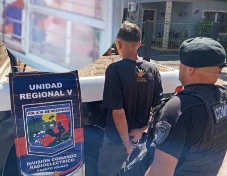 Arrestaron a un joven involucrado en un hecho de robo a una escuela imagen-11