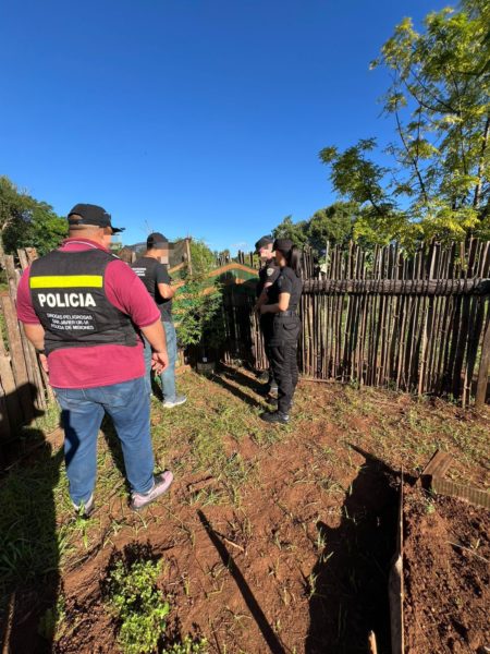 Allanaron una casa por el robo de una bicicleta y encontraron plantas de marihuana imagen-7