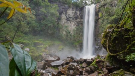 Dos propuestas para disfrutar del Parque Provincial Salto Encantado imagen-12