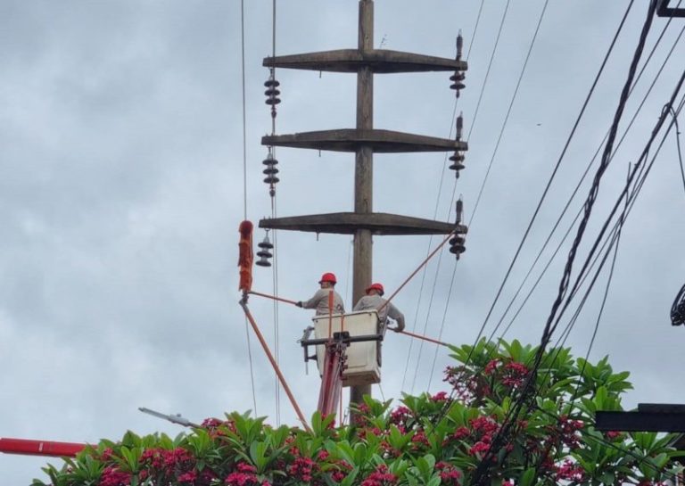 Refuerzan el servicio eléctrico en Posadas para la temporada de verano imagen-3