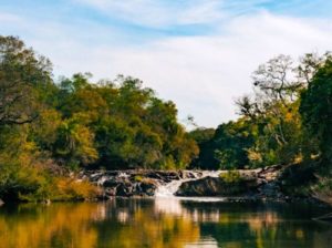 Verano en Andresito: conocé un paraíso escondido entre la selva y el río imagen-1