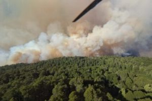 Incendio en el Parque Nacional Nahuel Huapi: una nube de humo cubrió a Bariloche imagen-2