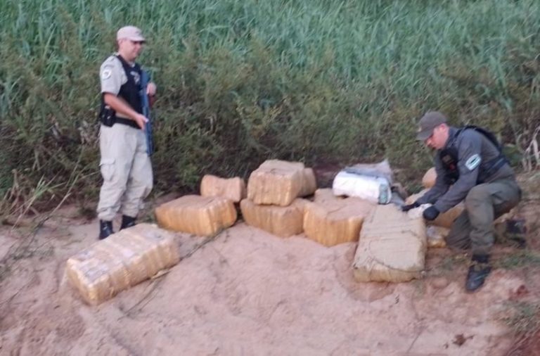 Gendarmería decomisó casi una tonelada de estupefacientes en Delicia  imagen-5