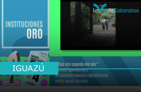 «Qué ves cuando me ves»: Instituto Esperanza gana el Oro, en los Premios Obrar Federal por su campaña de inclusión laboral imagen-10