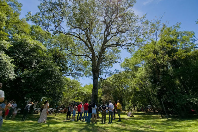 Con capacitaciones y visitas guiadas, se celebró el Día Mundial de la Educación Ambiental en Profundidad imagen-4