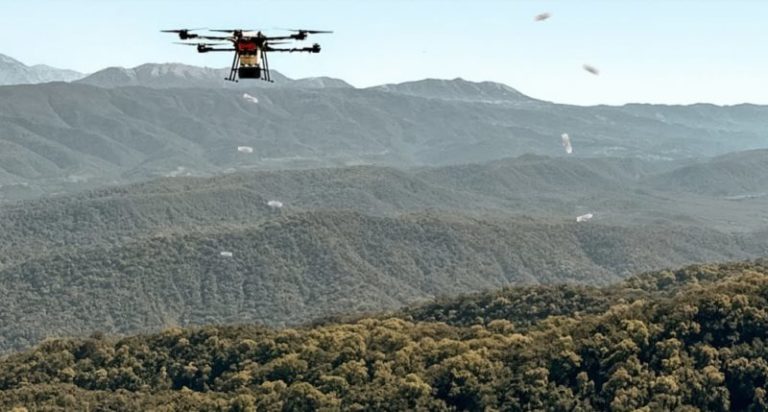 Reforest Latam: la startup que usa drones e inteligencia artificial para reforestar bosques y fue distinguida como “emprendimiento del año” imagen-4