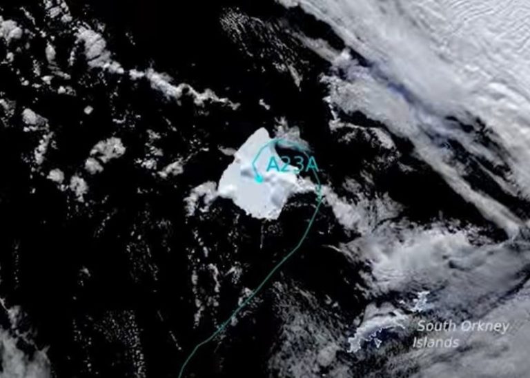 El iceberg más grande del mundo podría estrellarse contra una isla del Atlántico: hay animales en peligro imagen-5