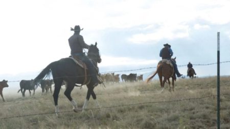 Si te encanta ‘Yellowstone’, Taylor Sheridan nos dio una de las mejores películas de western de este siglo que puedes ver completamente gratis imagen-9