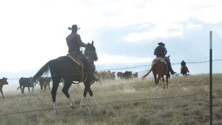 Si te encanta ‘Yellowstone’, Taylor Sheridan nos dio una de las mejores películas de western de este siglo que puedes ver completamente gratis imagen-5