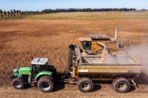 Alarma en el campo: otra empresa agropecuaria cayó en cesación de pagos imagen-3