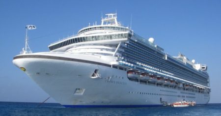 Así es el lujoso crucero que llegó a CABA y que simula ser una ciudad flotante con más de 3.800 visitantes a bordo imagen-5