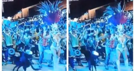 Polémica en el Carnaval de Gualeguaychú: un perro se coló en el desfile y el integrante de una comparsa le pegó con un palillo imagen-13