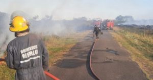 Un distrito alerta por los incendios forestales: tuvo más de 80 en lo que va de enero imagen-3