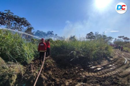 Emergencia ígnea en Misiones: incendios de basura y maleza, las principales demandas de bomberos imagen-7