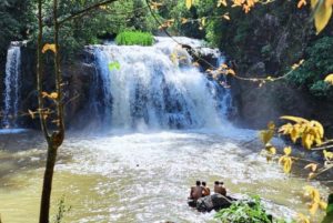 Los 3 Saltos Mbocay: un paraíso natural en el corazón de la selva misionera imagen-3