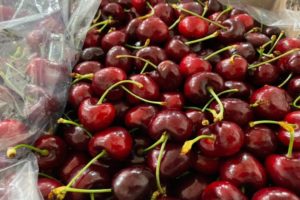 Rotundo éxito en una provincia con la cosecha de una preciada fruta imagen-1