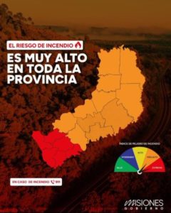 Misiones en alerta: el 99% de los incendios forestales son provocados por el ser humano imagen-1