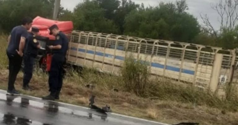 Brutal choque frontal entre un auto y un camión ganadero en Entre Ríos: tres muertos imagen-4