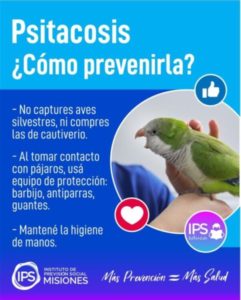 IPS EDUCA – 𝐋𝐀 𝐏𝐒𝐈𝐓𝐀𝐂𝐎𝐒𝐈𝐒 imagen-3