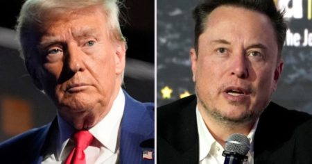 Donald Trump dijo que está "abierto" a que Elon Musk compre TiKTok y anunció una inversión de 500 mil millones en Inteligencia Artificial imagen-8