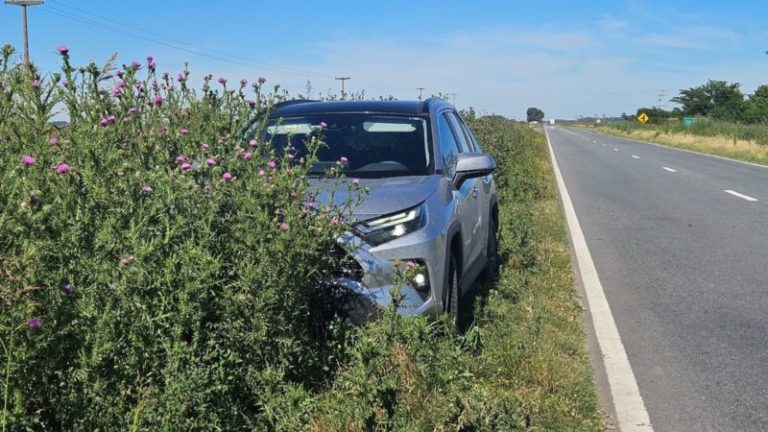 Avanza la privatización de las rutas nacionales con la convocatoria a las primeras audiencias públicas imagen-4