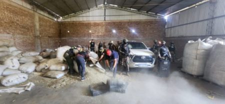 Gendarmería secuestró casi 4 toneladas de cannabis en allanamiento en la provincia imagen-9