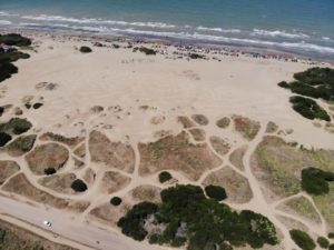 Cómo es El Arenal, el lugar de Costa del Este en el que murió un hombre con su UTV imagen-1