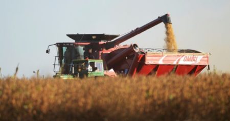 "No pensaron en la realidad del productor": las críticas de un analista a la baja temporal de retenciones imagen-11