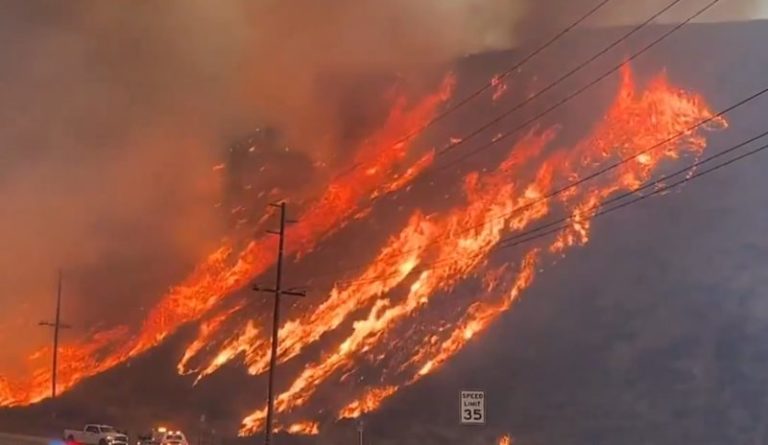 Estados Unidos: un nuevo incendio cerca de Los Ángeles generó la evacuación de 20 mil personas imagen-5