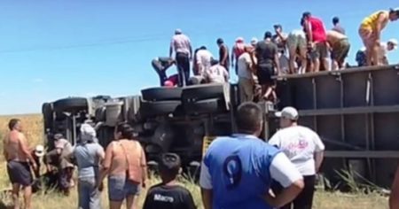 Volcó un camión con 75 vacas en la ruta 8: lo saquearon y las faenaron en la banquina imagen-9