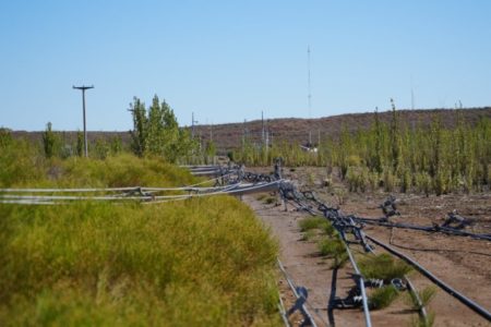 “Una especie de tornado”: los destrozos que dejó un temporal con vientos de más de 100km/h en el Alto Valle de Río Negro imagen-8