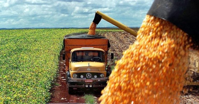 Las exportaciones de maíz argentino marcarán un récord por segundo mes consecutivo imagen-5