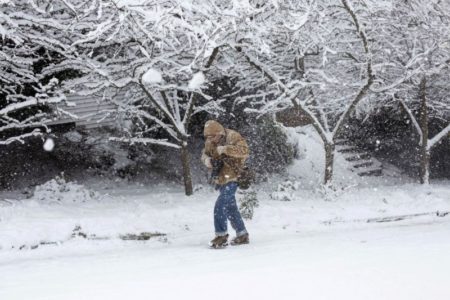 Clima en EE.UU. hoy, viernes 31 de enero: nieve en Nueva York y alerta por tornado en Florida imagen-12