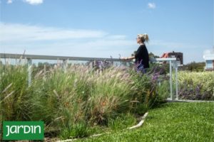 Te contamos cómo las plantas pueden ayudarte a reducir la factura de electricidad este verano imagen-2