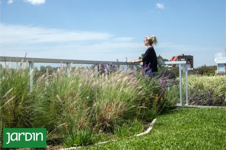 Te contamos cómo las plantas pueden ayudarte a reducir la factura de electricidad este verano imagen-5