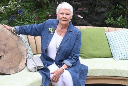 Judi Dench, sobre la enfermedad que afecta su visión: “Alguien siempre va a estar a mi lado” imagen-14